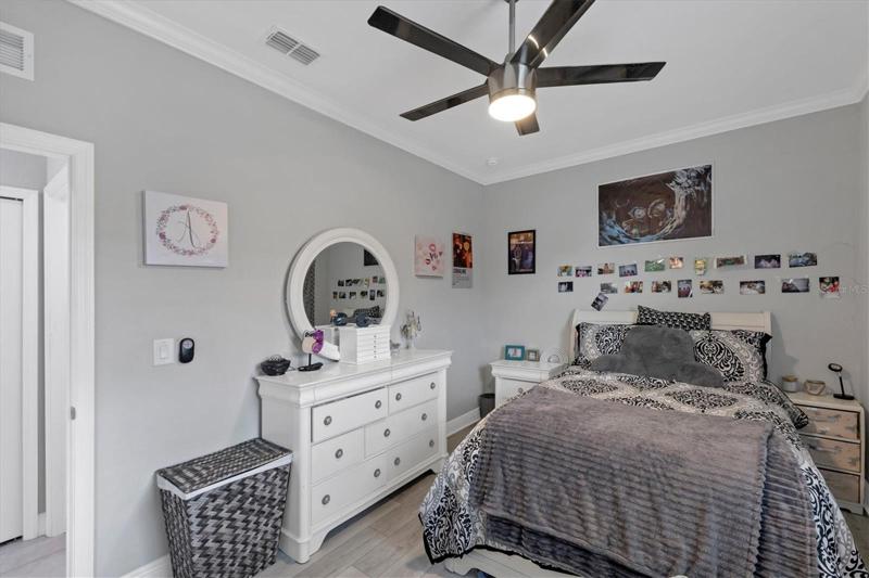 guest bedroom 2