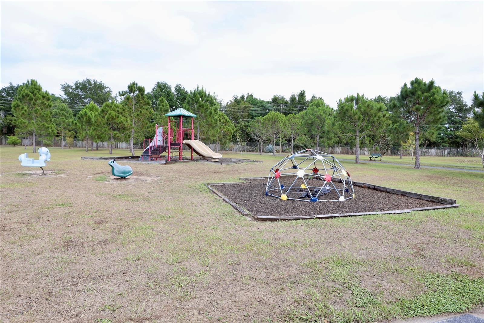 Community Park