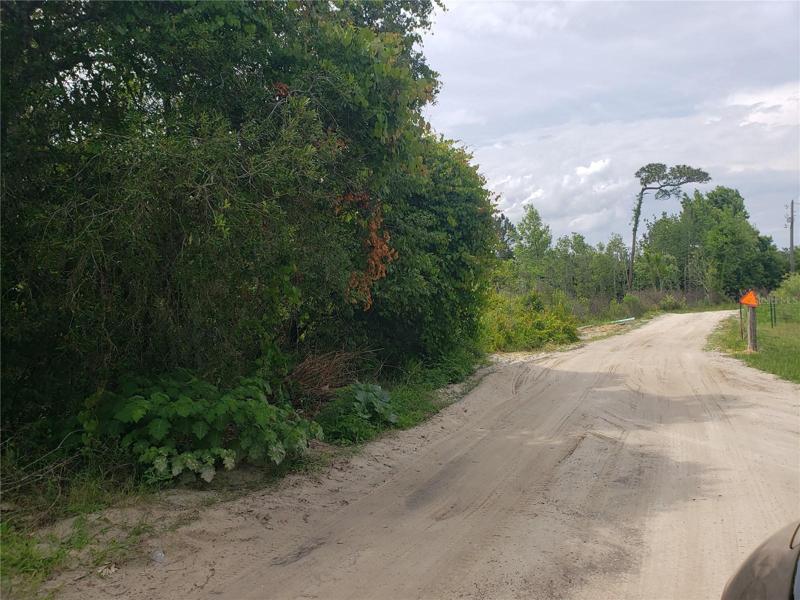 Cooter Pond Rd.