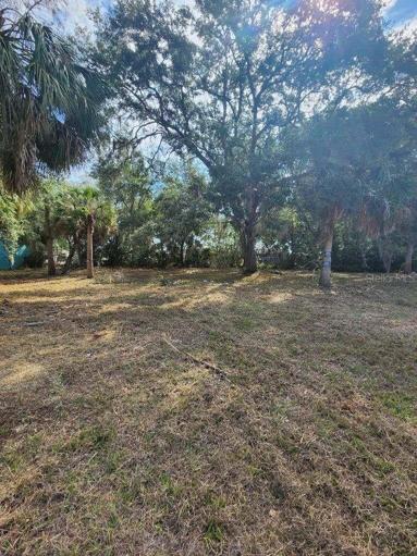 Lot View