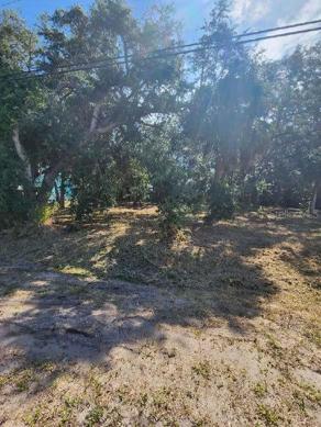 Lot View