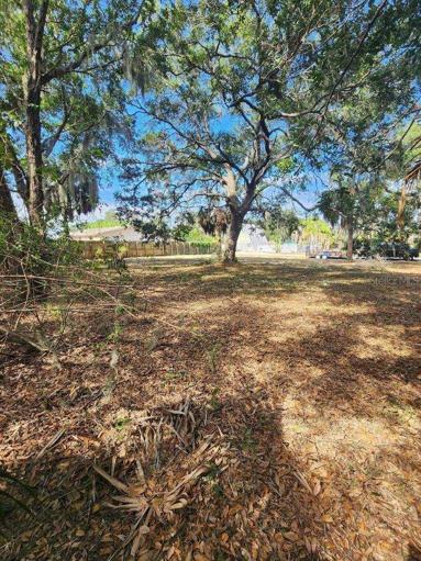 Lot View from Rear
