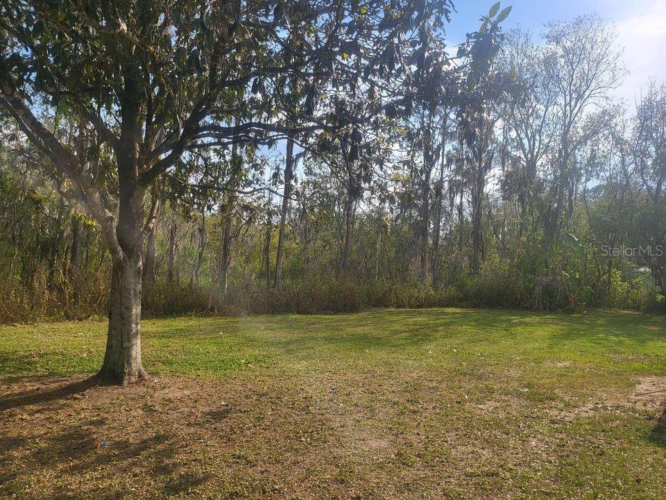Side Yard