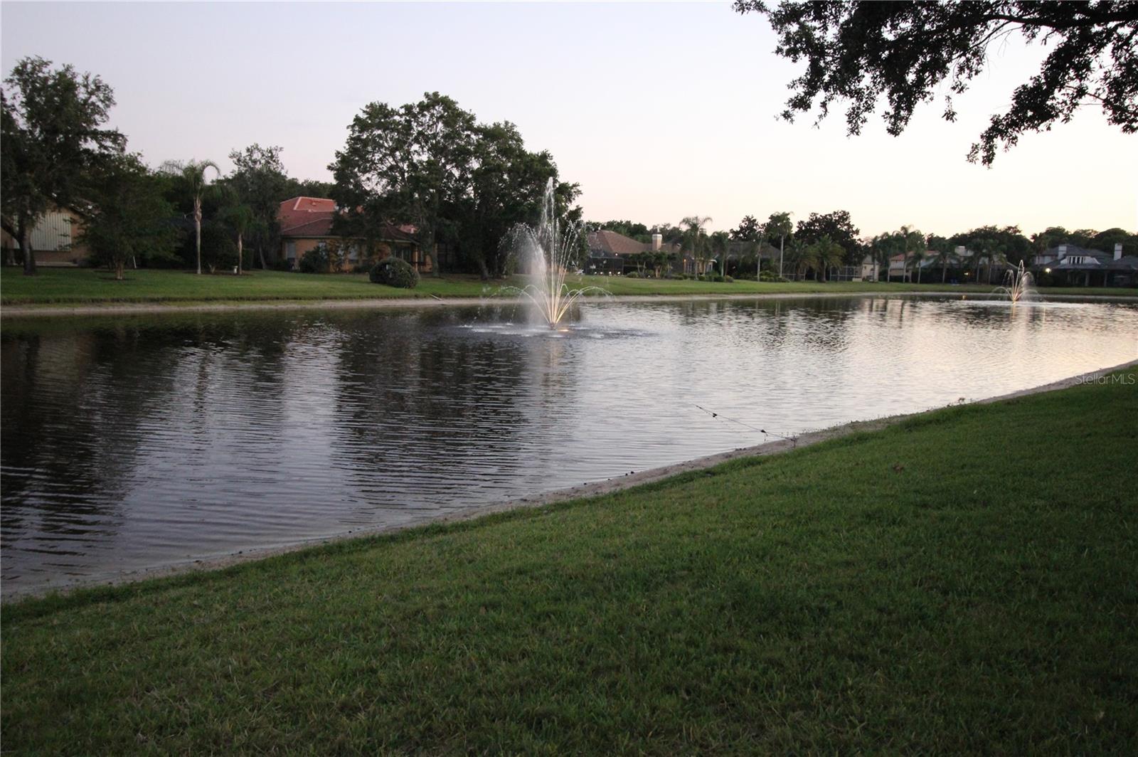 Evening Pond View