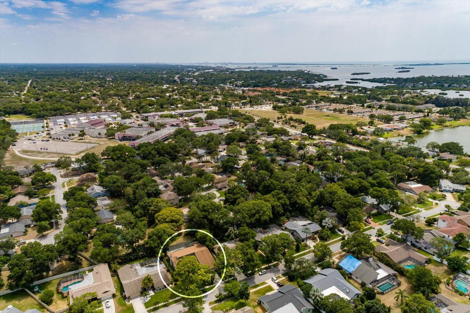 Aerial view south toward Palm Harbor University High School
