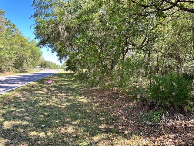 Roadway to your .22 acres