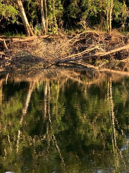 Peace River