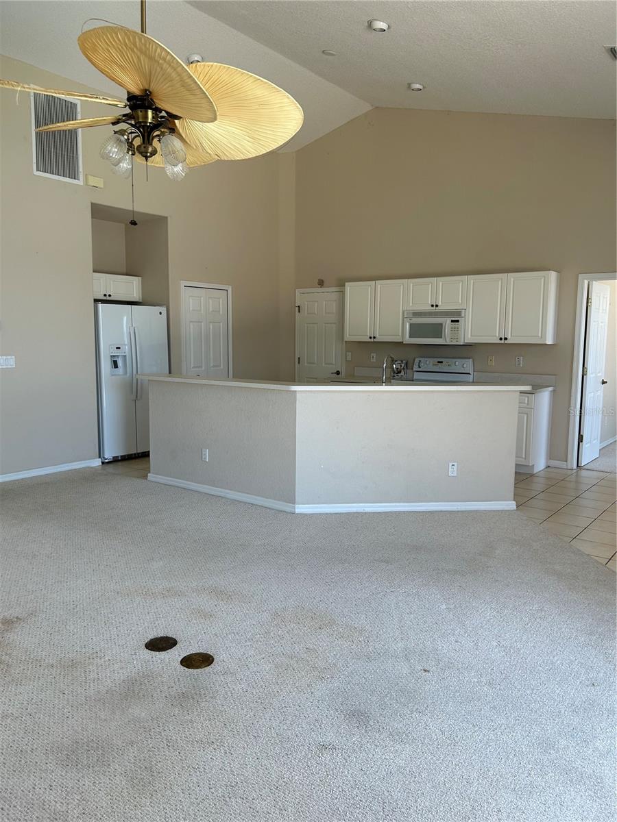Living/Kitchen