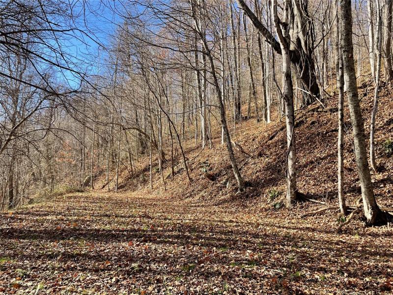 Wide clearance at entry to the 2.12 acres