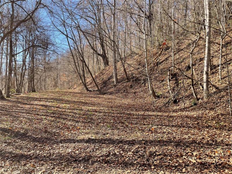 Wide entry into the land. Trees can be cleared to open up possibilities
