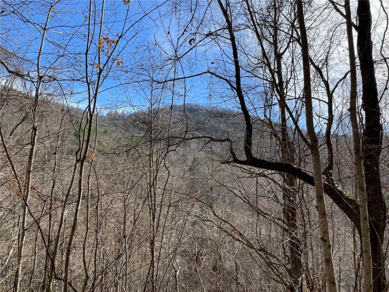 Looking South from the homesite. Great brightness with some trees trimmed.