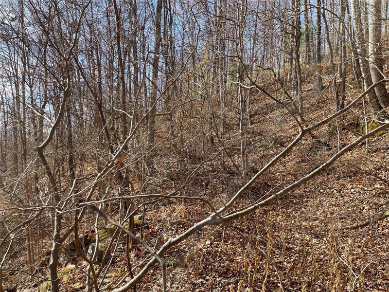 Vertical slope on lot not too steep. Possibilities are endless