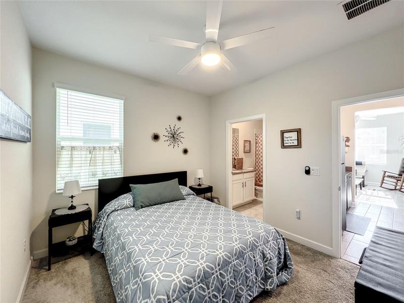 In-law suite Bedroom