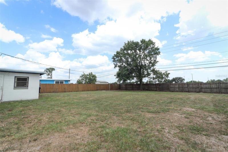 Backyard