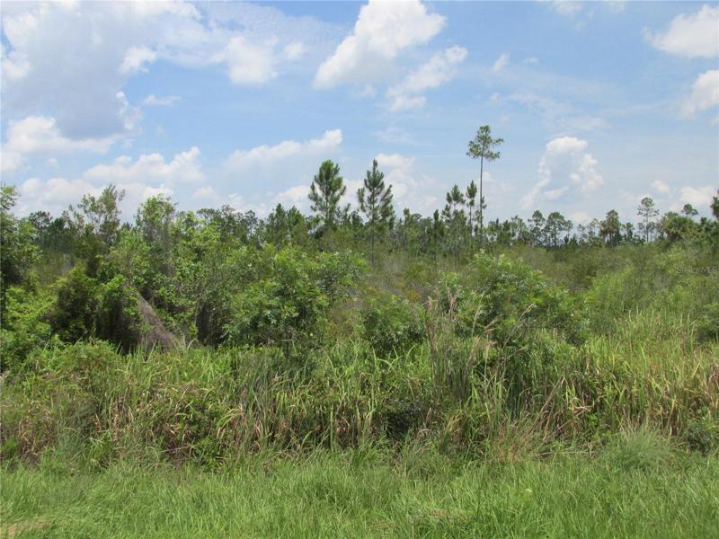 Undeveloped land just waiting for you to make it your own.