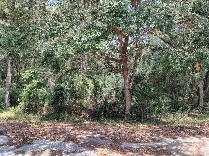 Lot 9044-1552-01
