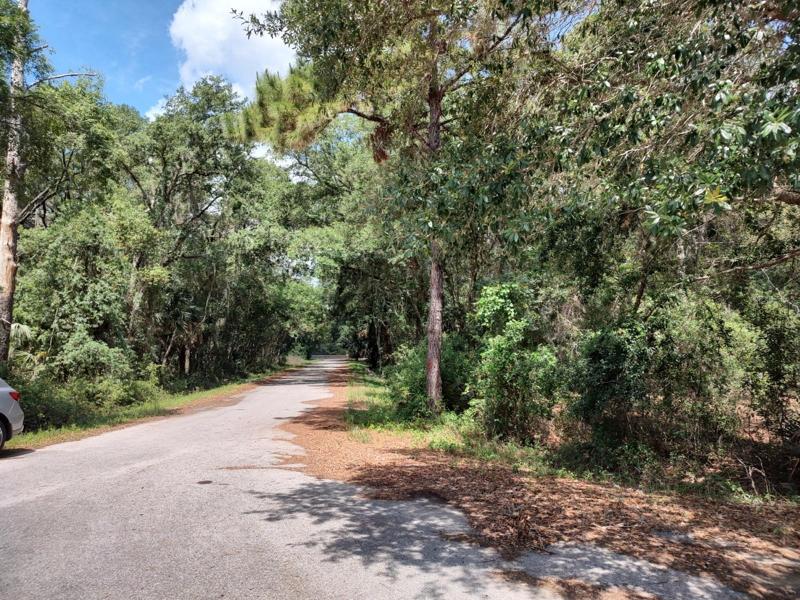 Street from lot 9044-1552-01