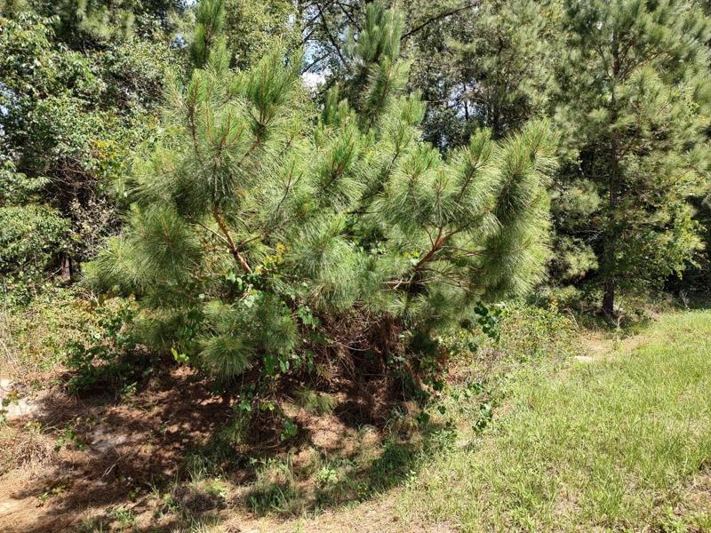 Lot 9044-1565-05