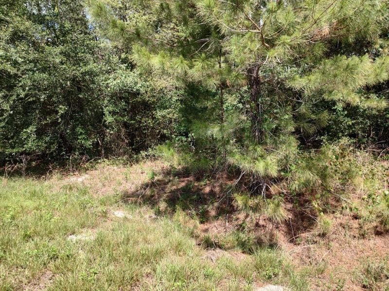 Lot 9044-1565-05