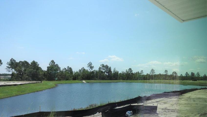 View from home