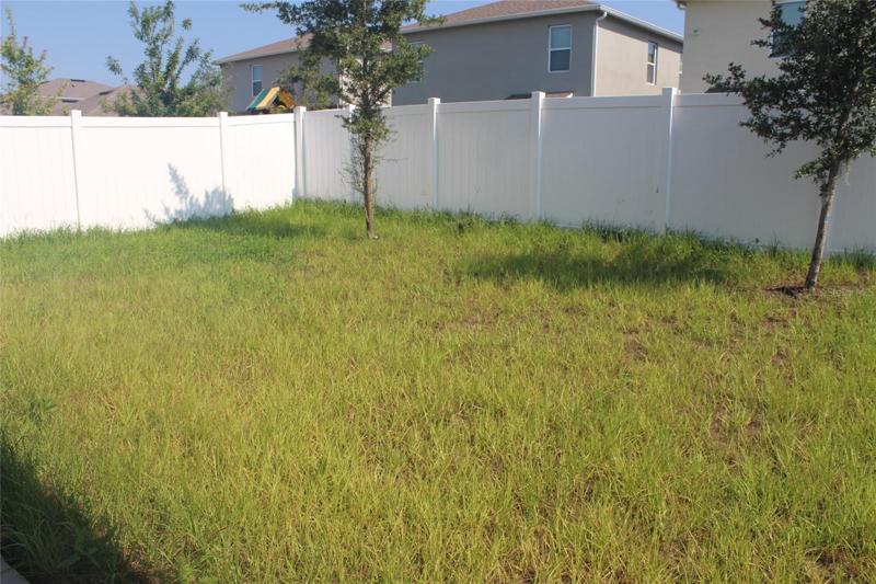 Backyard Patio