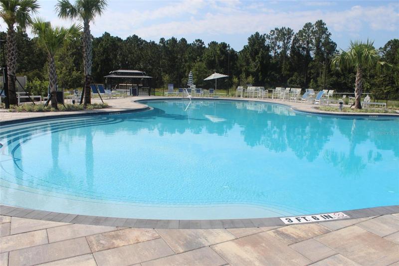 Pool Resort Style
