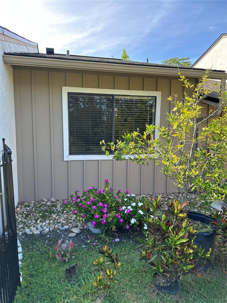 Back yard-rock garden
