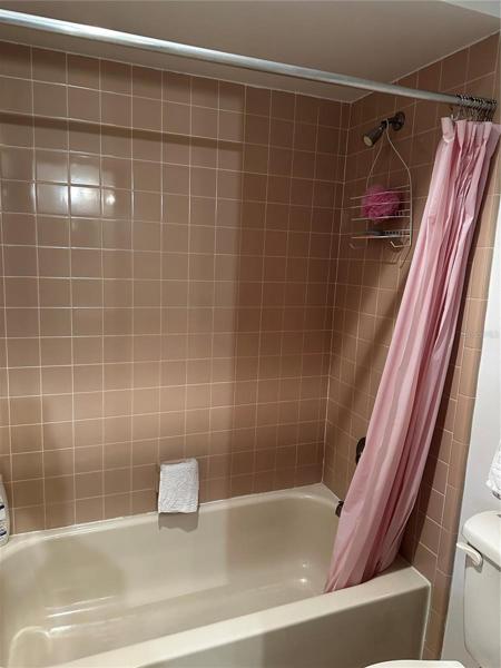 Full Bath- tub-shower combo