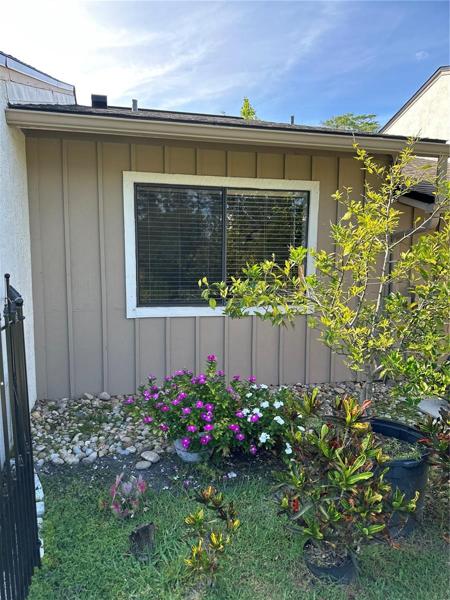 Back yard-rock garden