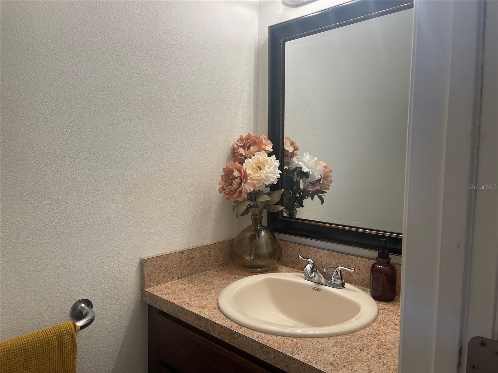 Guest bathroom