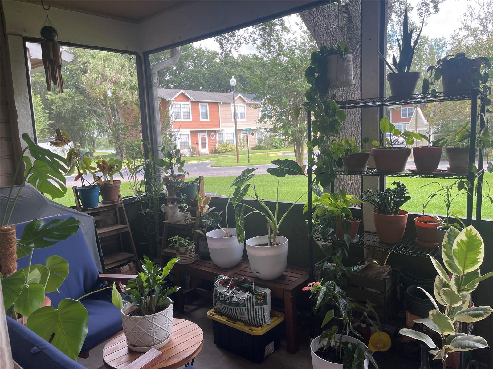 Oasis from the porch