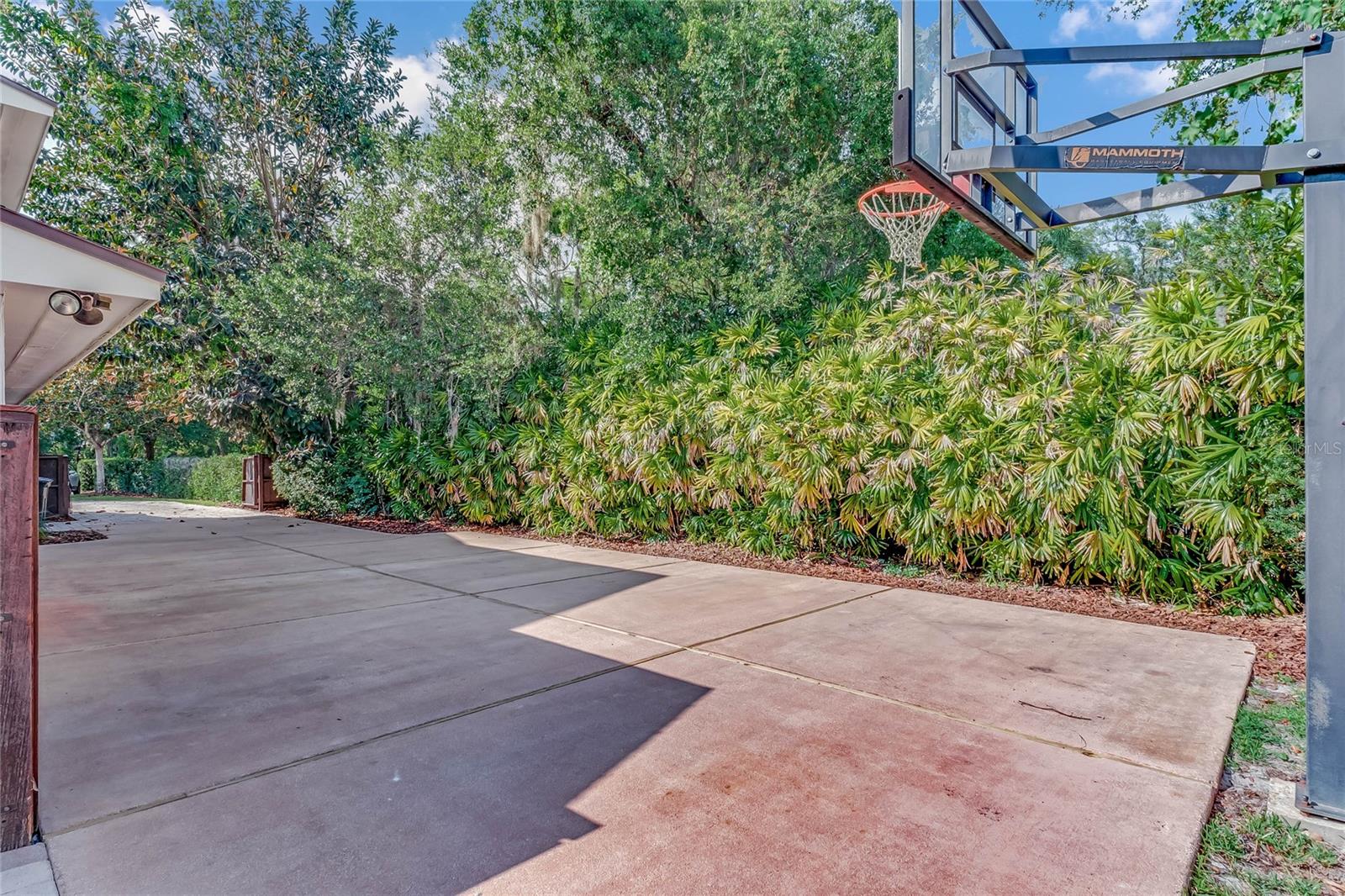 side parking and basketball