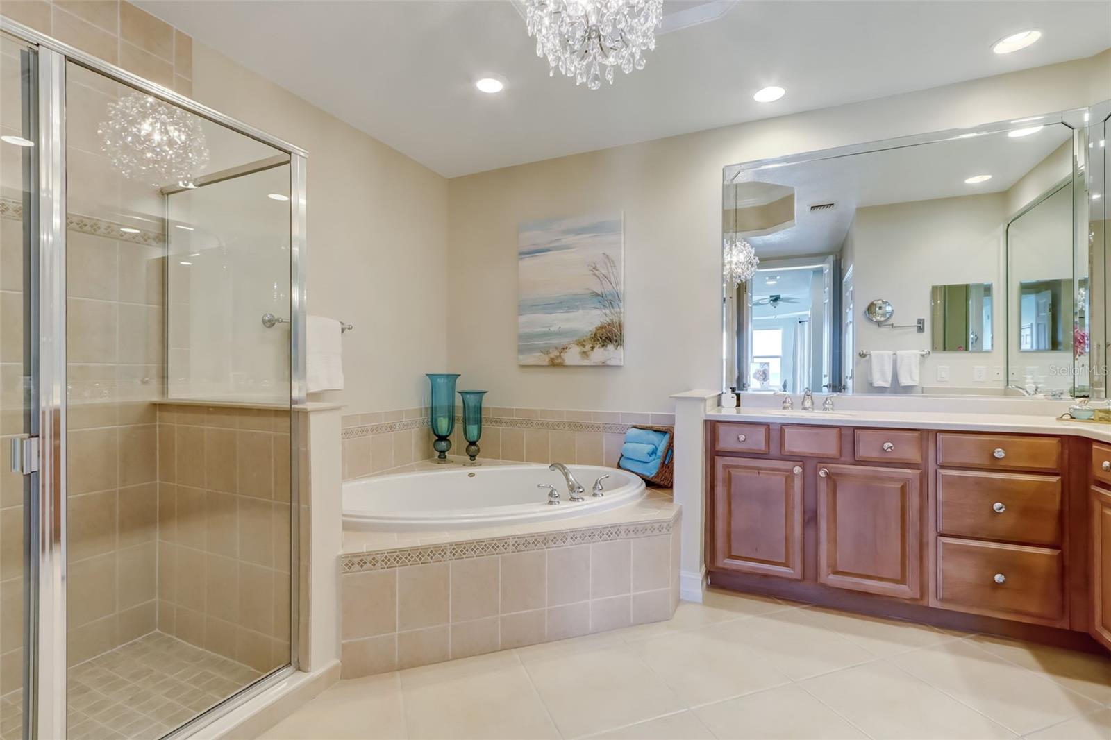 Spacious Master bathroom