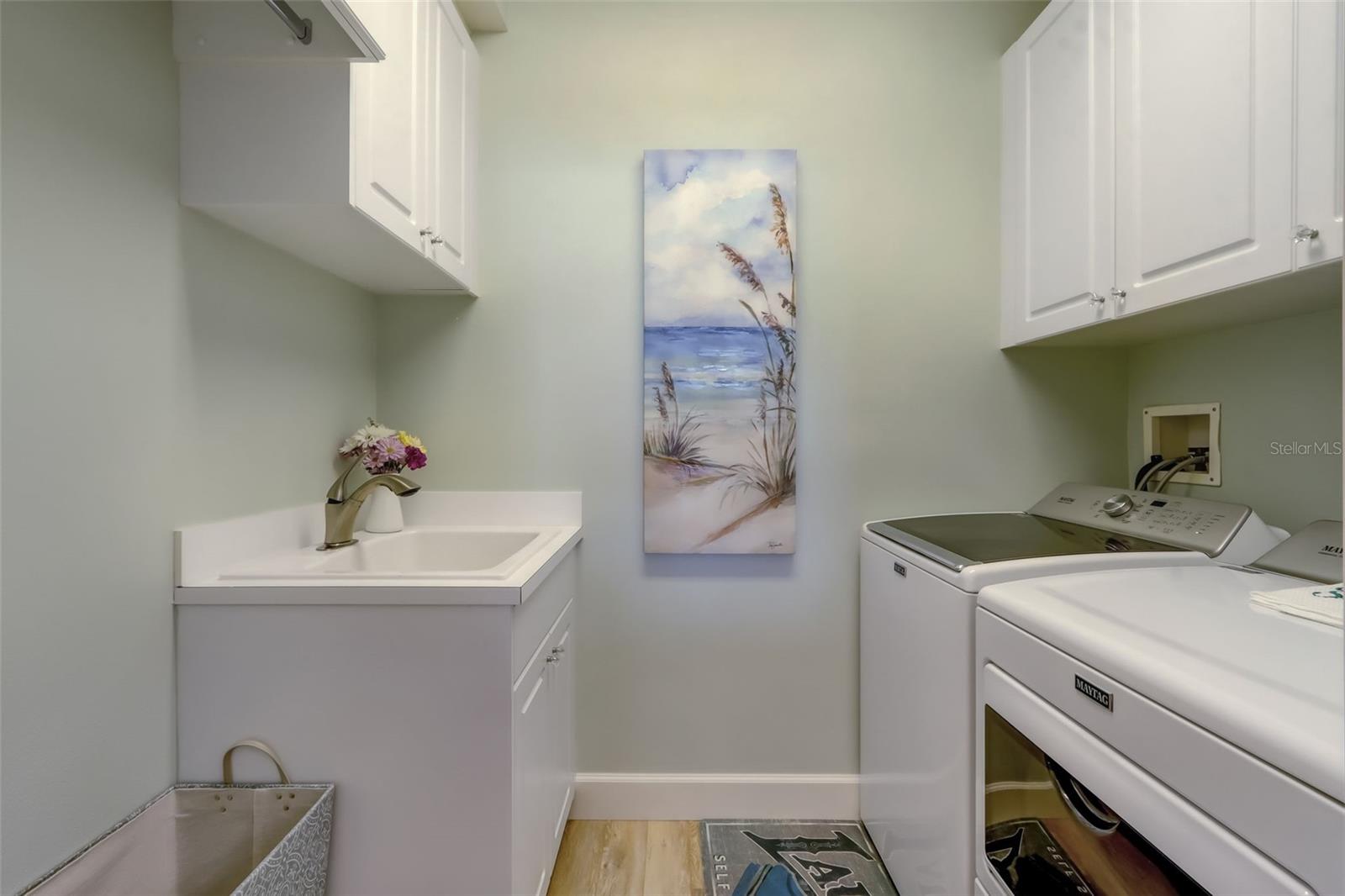 Laundry sink and cabinets
