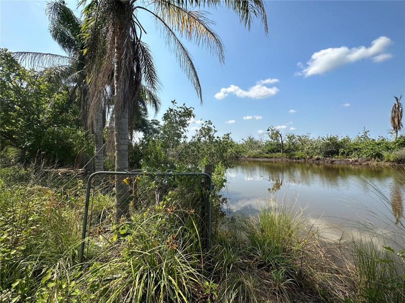 Canal to Jim Long Lake and on to the Peace River where you can continue to Charlotte Harbor and the Gulf