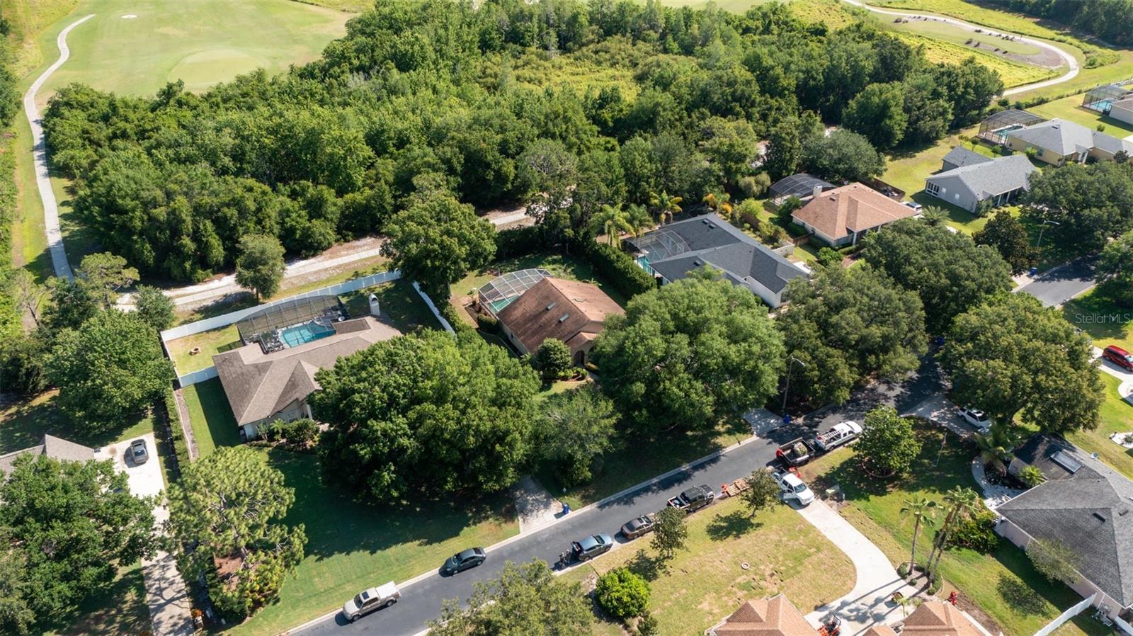 Mature Landscaping