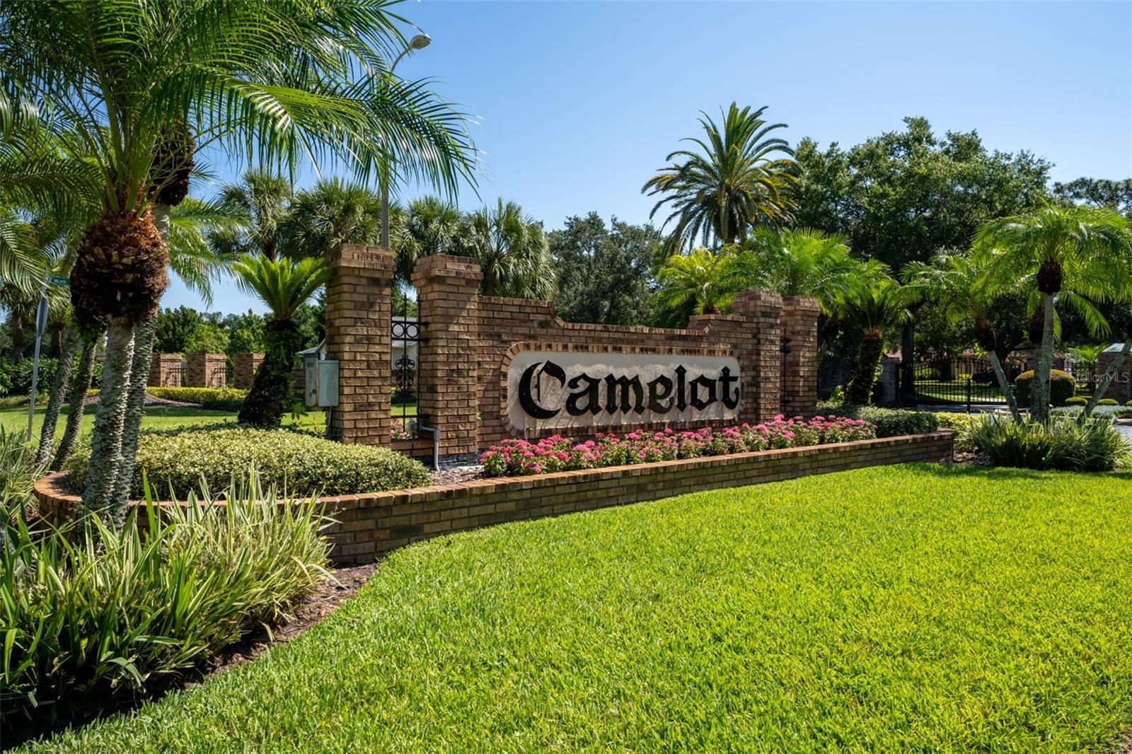 Coveted Camelot Community