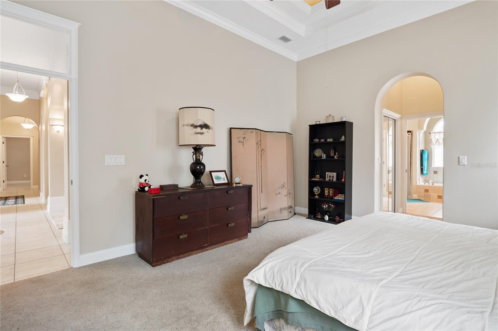 Master suite has double tray ceiling