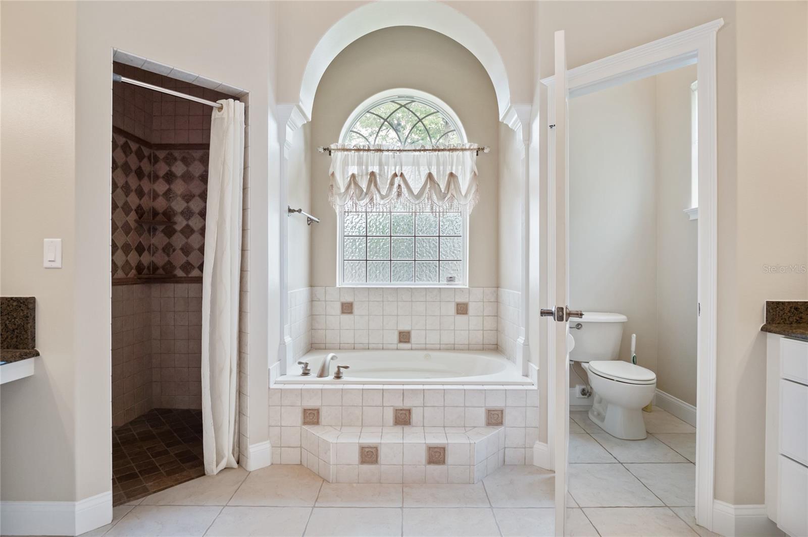 Luxurious master bath