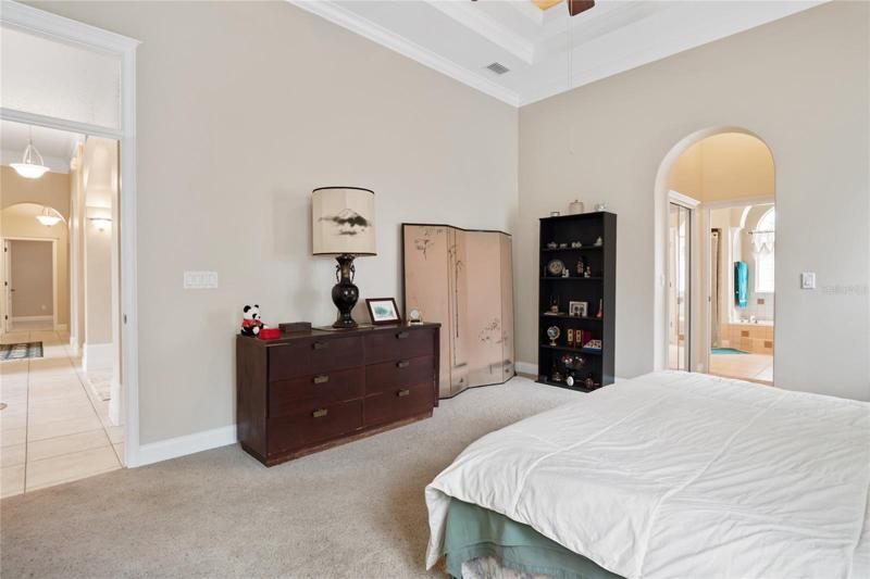 Master suite has double tray ceiling