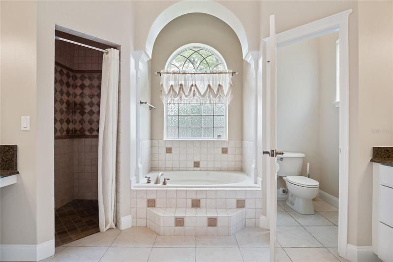Luxurious master bath