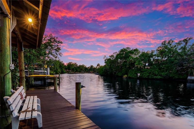 INCREDIBLE RIVER OASIS!