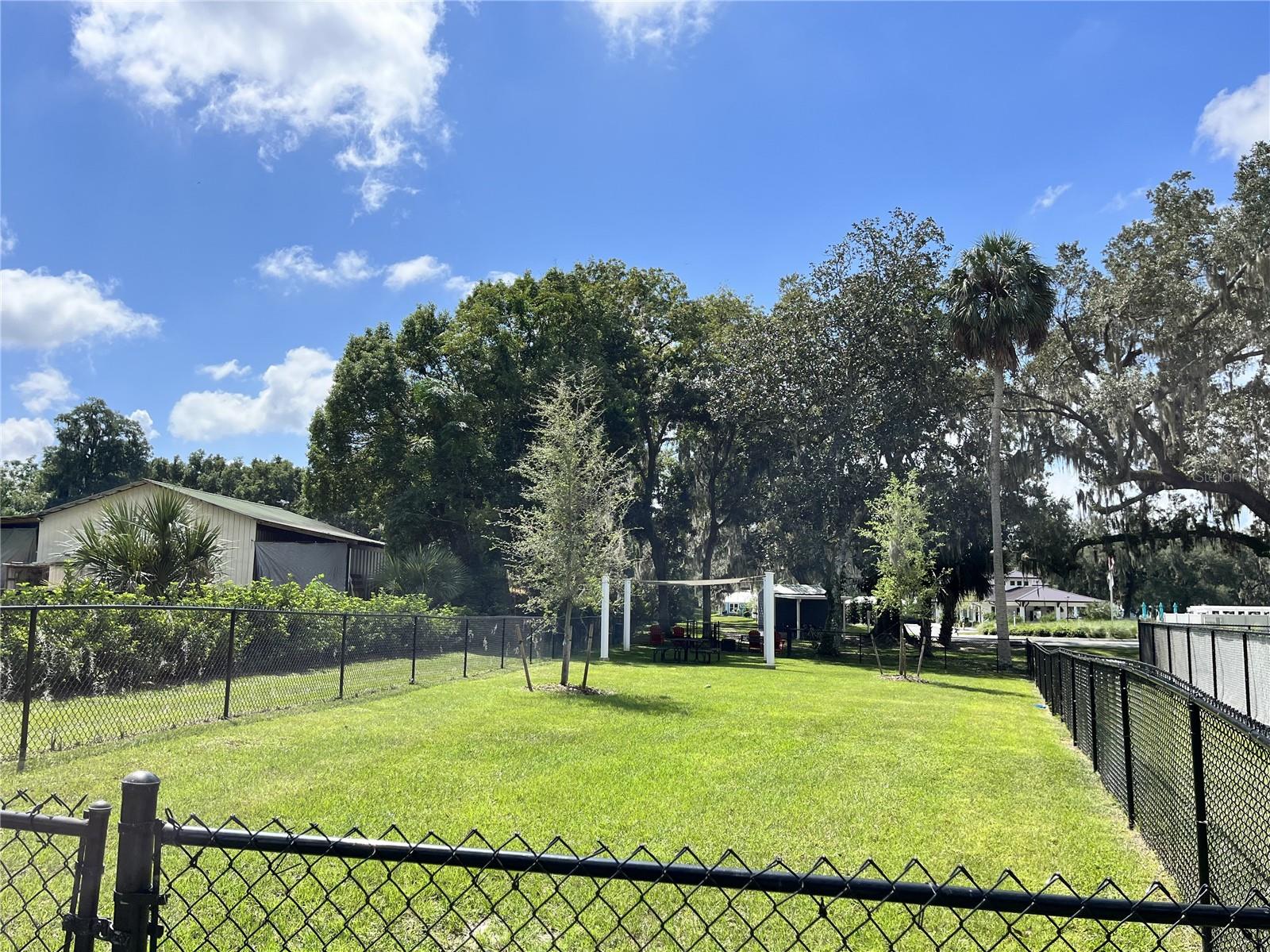 Dog Park for fido