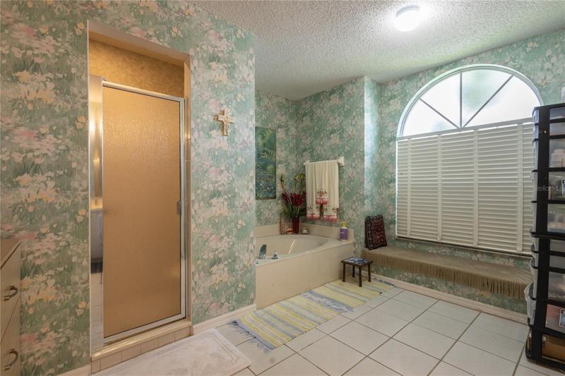 Master bathroom, shower and whirlpool garden tub.