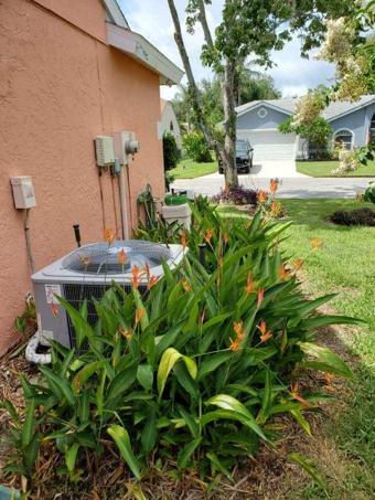 Lush landscaping.