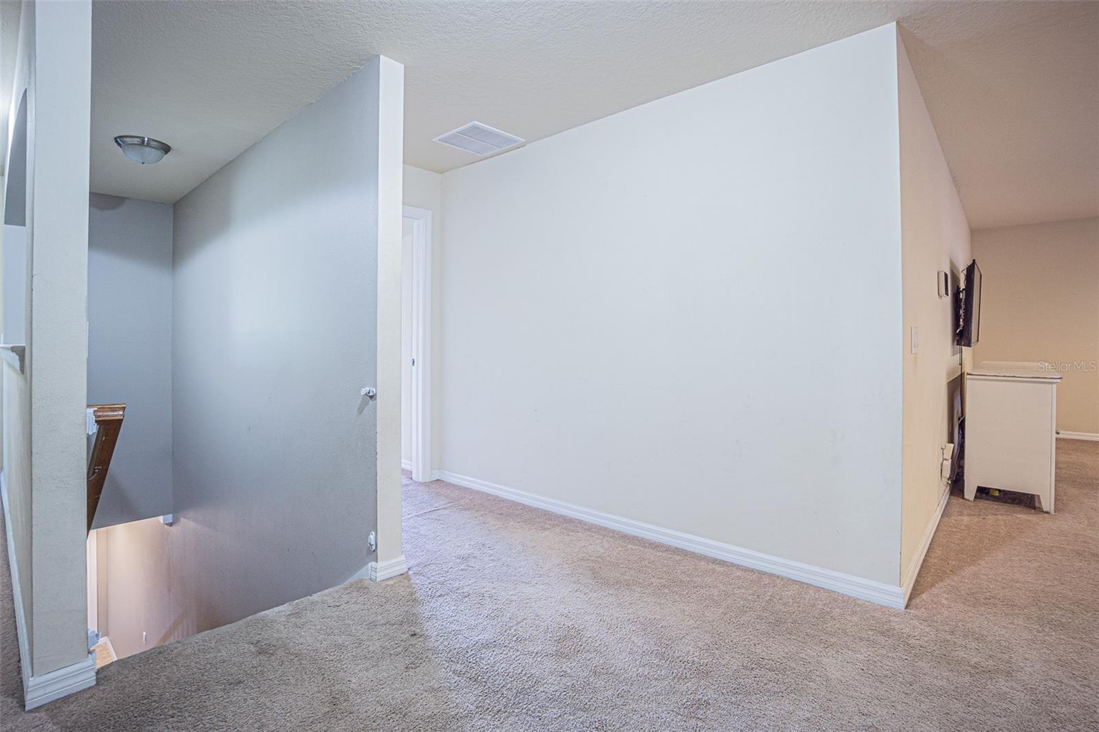 Downstairs Half Bath