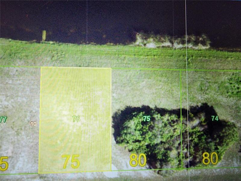 Lot 76 yellow 75 Next to it.