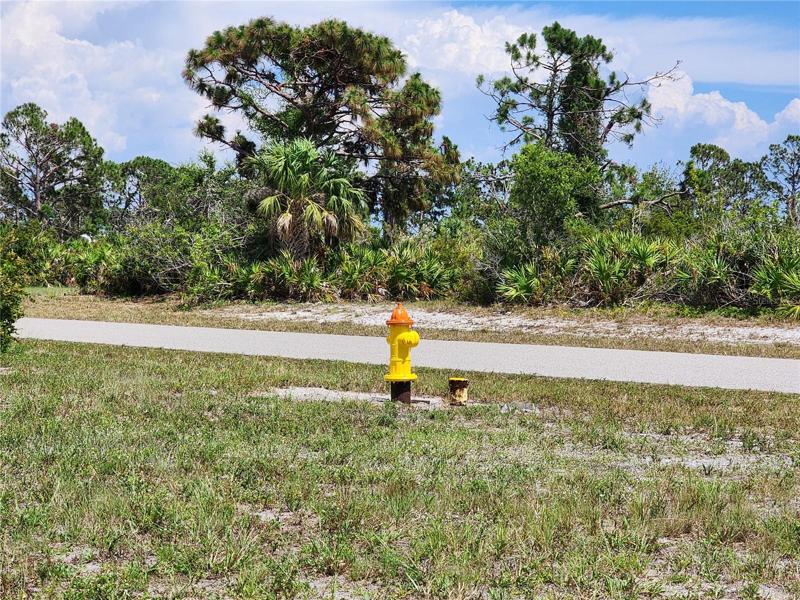 Fire hydrant near property