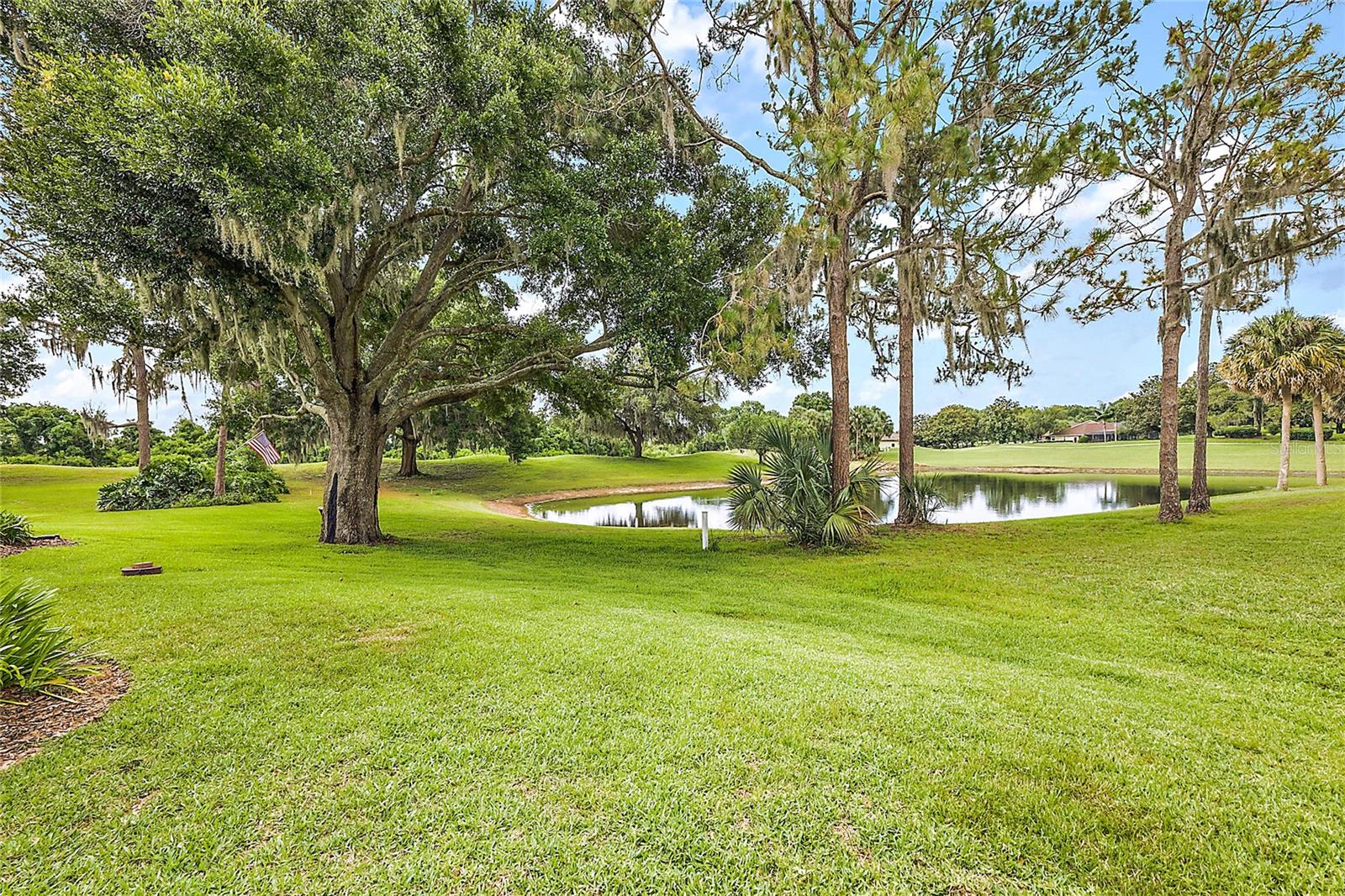 Pond Area