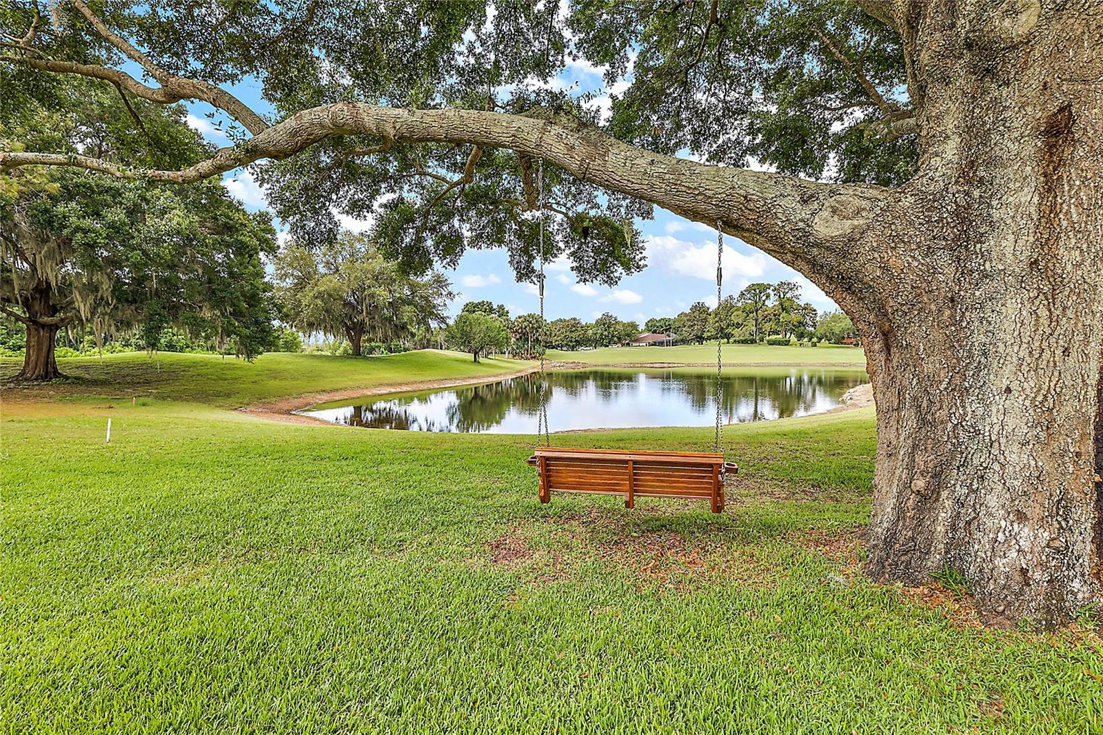 Pond Area